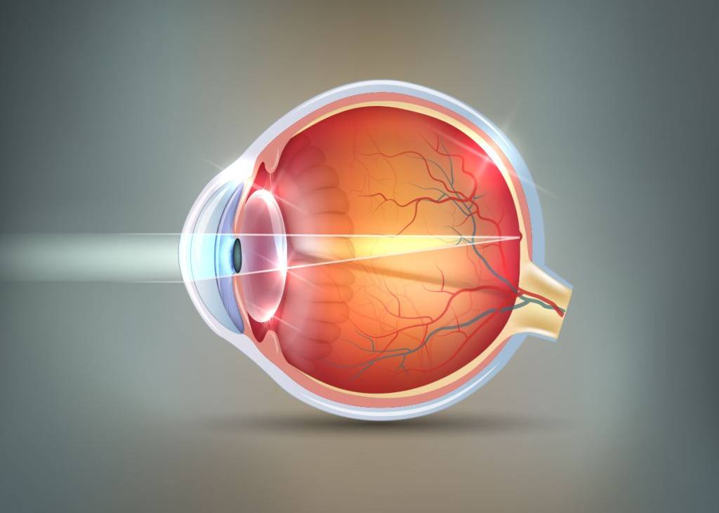 Retina-Treatment-giridhar-eye-institute